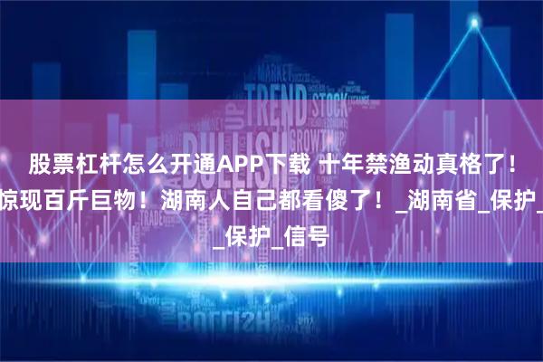 股票杠杆怎么开通APP下载 十年禁渔动真格了！湘江惊现百斤巨物！湖南人自己都看傻了！_湖南省_保护_信号