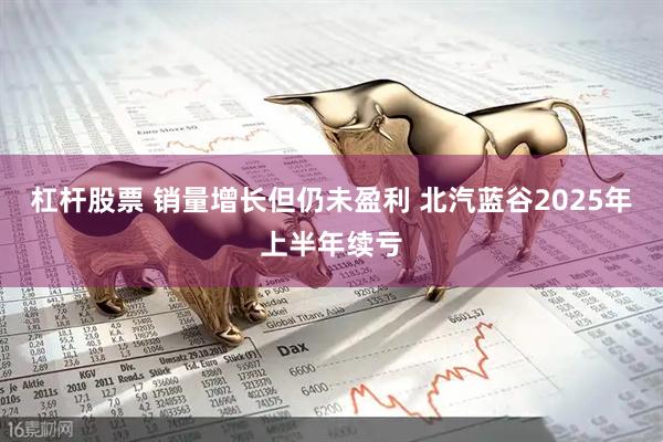 杠杆股票 销量增长但仍未盈利 北汽蓝谷2025年上半年续亏