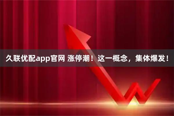 久联优配app官网 涨停潮！这一概念，集体爆发！