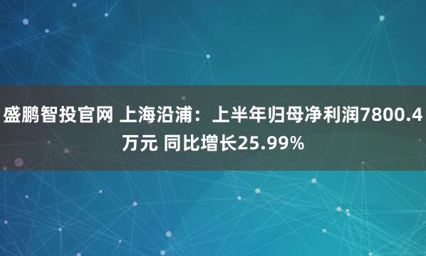 盛鹏智投官网 上海沿浦：上半年归母净利润7800.4万元 同比增长25.99%