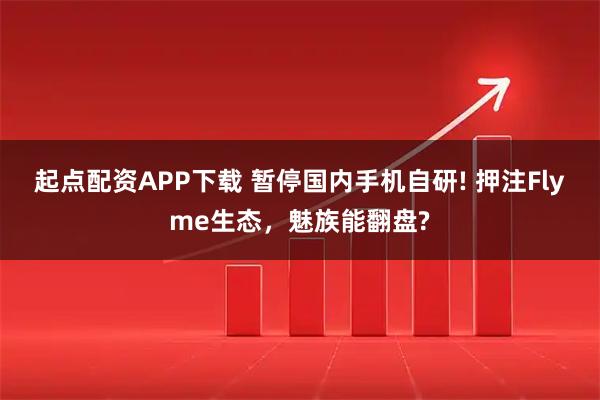 起点配资APP下载 暂停国内手机自研! 押注Flyme生态，魅族能翻盘?
